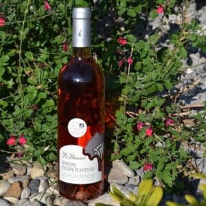 LE PERUSSIER DOMAINE PHILIPPE PLANTEVIN