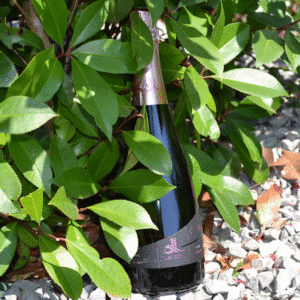 CLOS DES DEMOISELLES ROSÉ APPELATION CREMANT DE LIMOUX CONTROLÉ
