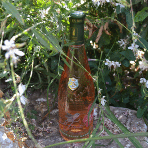 ROSE FRUITE VIGNOBLES NABOR  IGP GARD