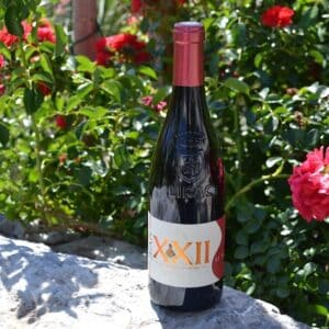 JEAN XXII APPELATION LIRAC PROTEGÉ