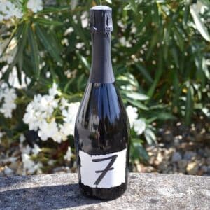7 VIGNOBLES SAINT NABOR